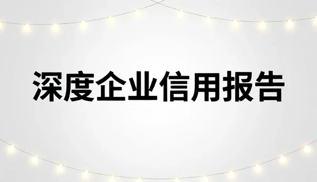 深度企业信用报告基础查询服务常见问题与解决策略